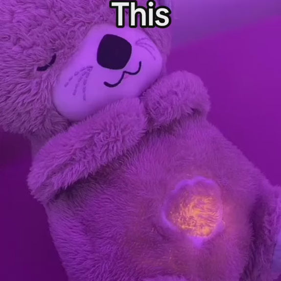 https://www.benjaminshop.ca › products › soothing-music-bear