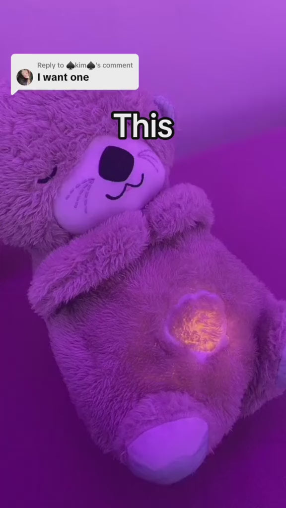 https://www.benjaminshop.ca › products › soothing-music-bear